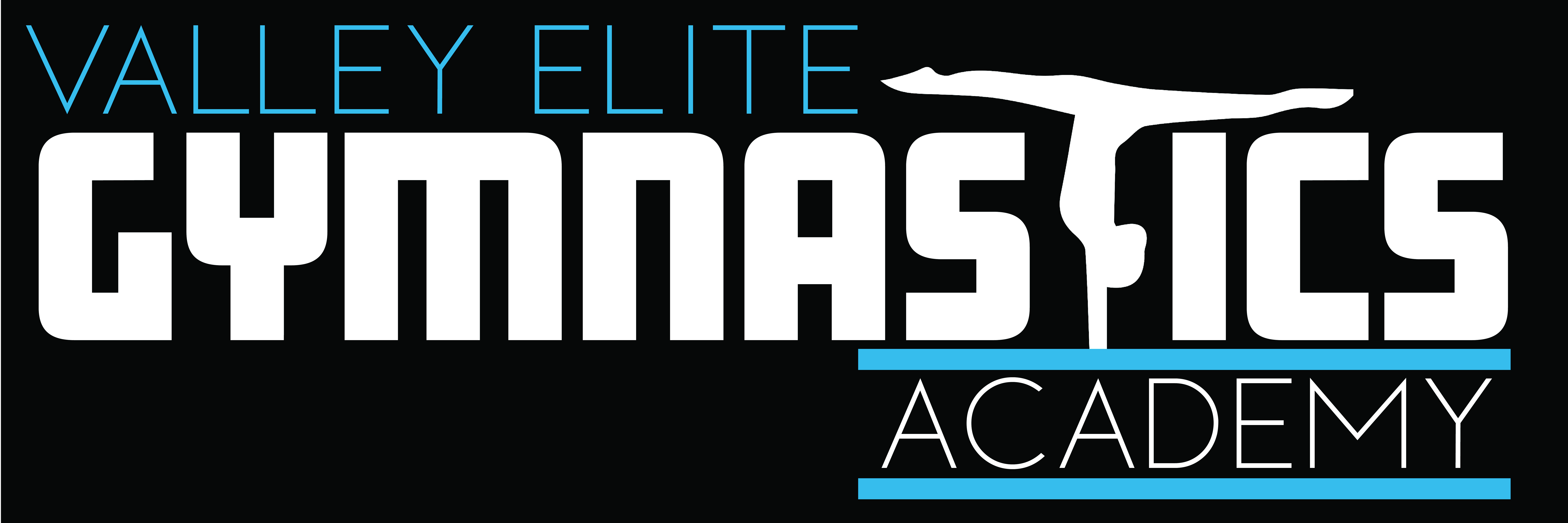 Valley Elite Gymnastics
